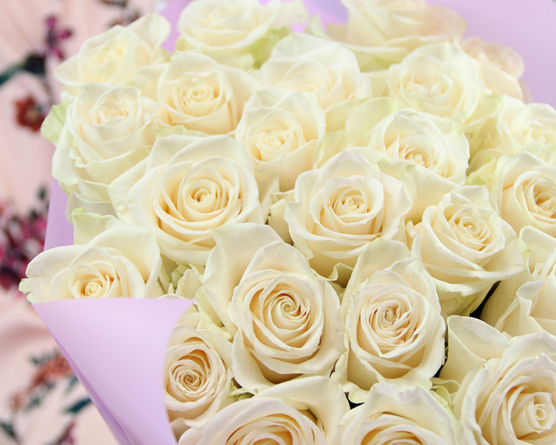 Белая роза – главный символ нежности