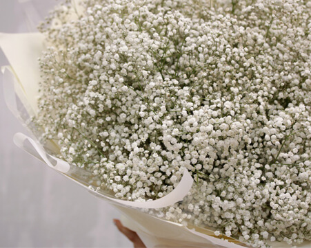 Как называются маленькие белые цветочки в букетах? | Цветовик