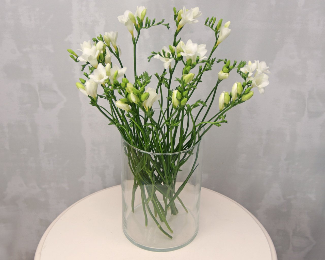 Фрезии белые цена купить цветы в иркутске цветобаза