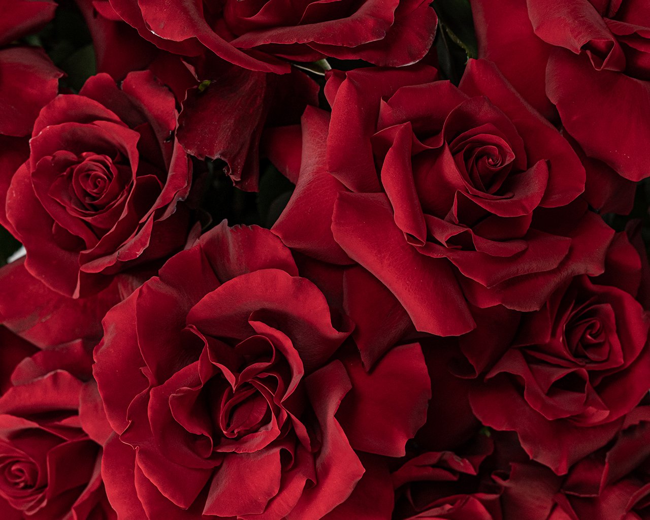 Букет в шляпной коробке Французский поцелуй - 4