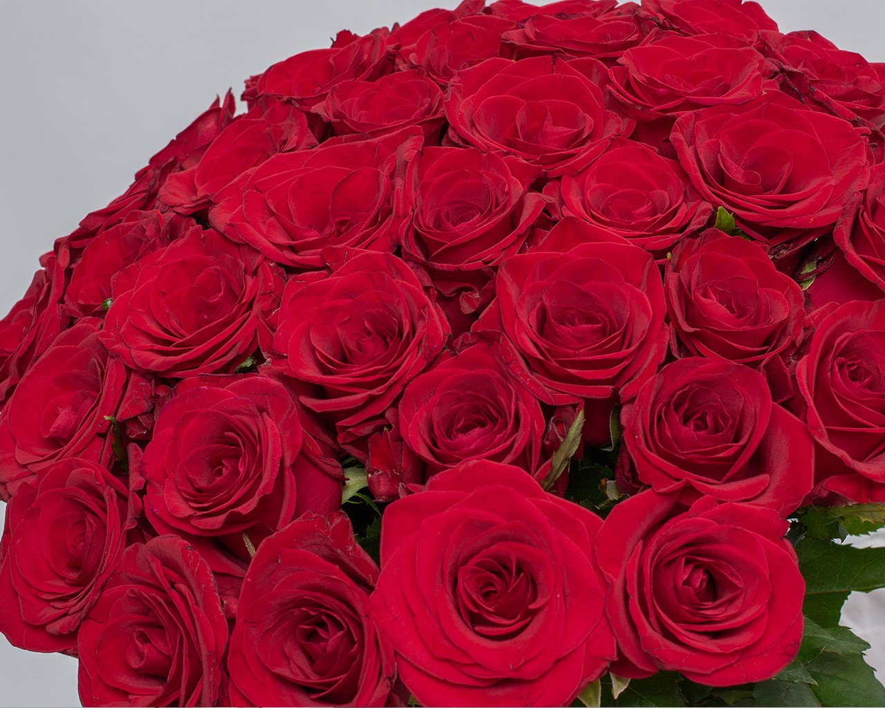 Букет из 35 красных роз 50-60 см (Россия) под ленту - 4