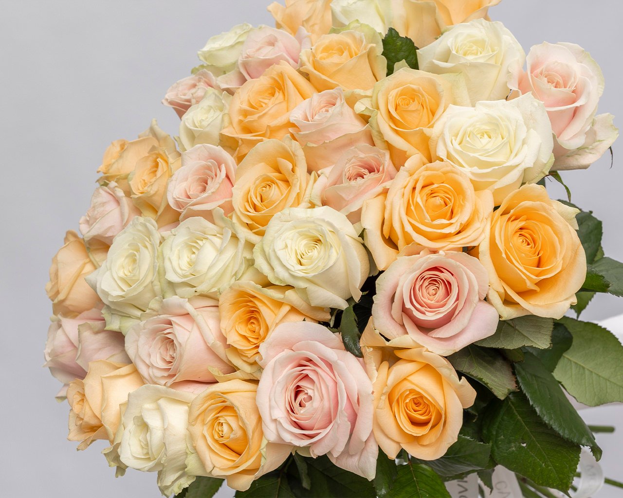 Букет из 35 роз 50-60 см (Россия) в пастельных тонах под атласную ленту - 4