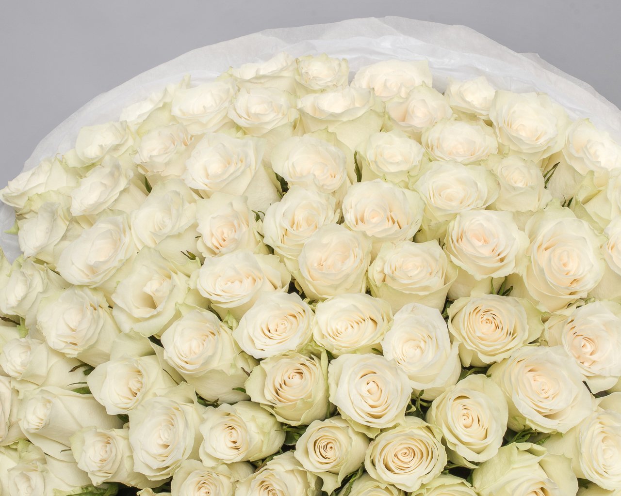 Букет из 101 белой розы 35-40 см (Кения) в стильной упаковке - 3