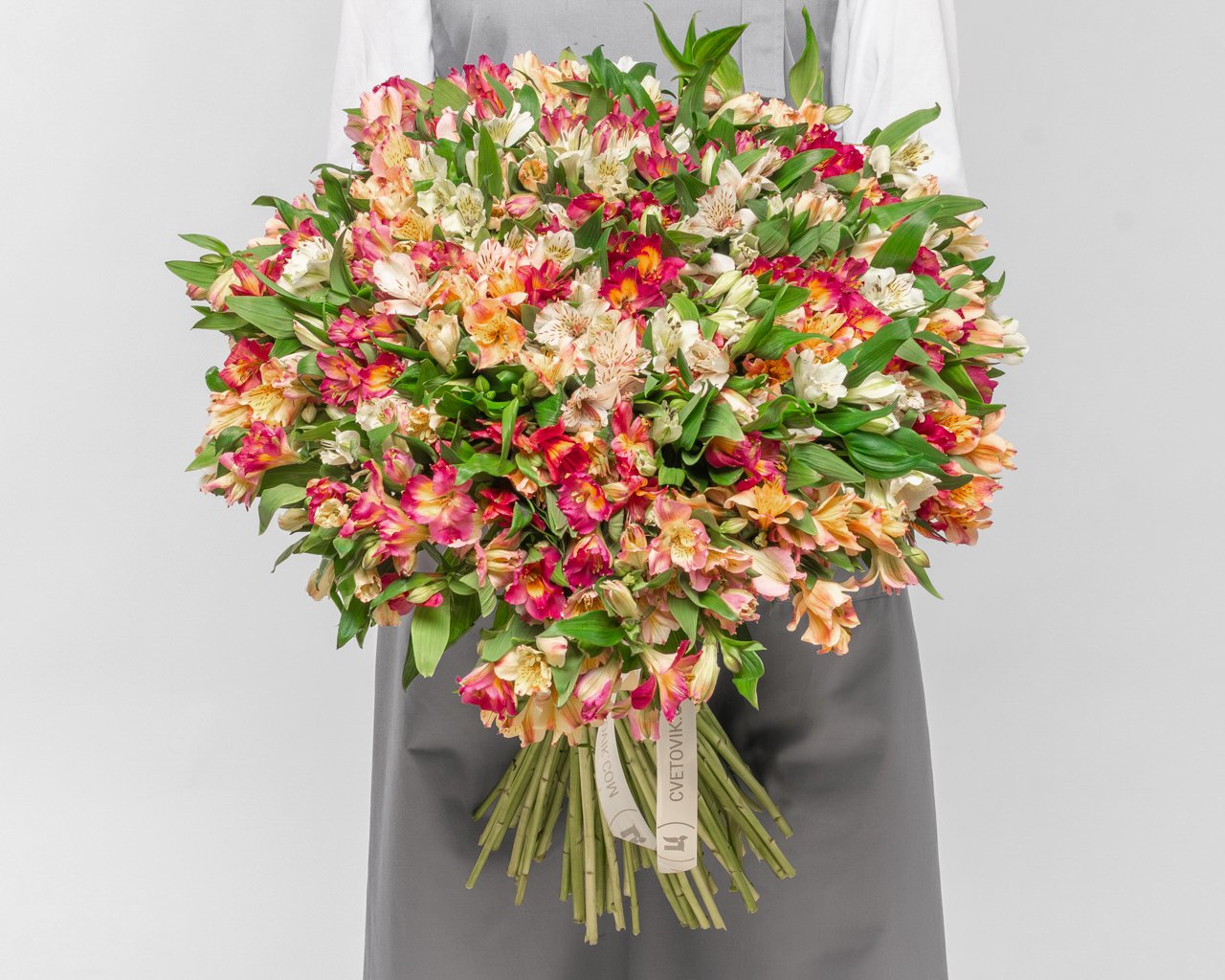 Букет из 101 альстромерии микс под ленту - 2