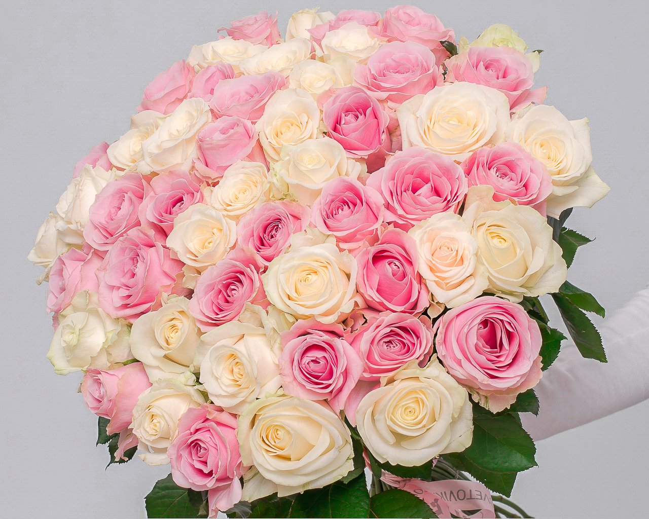 Букет из 51 белой и розовой розы 50-60 см (Россия) под ленту - 3