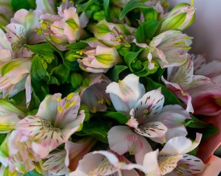 Букет из 15 альстромерий нежный микс с эвкалиптом  small - 5