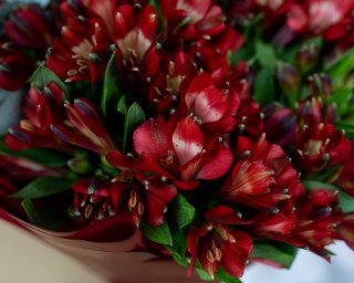 Букет из 15 красных альстромерий с эвкалиптом  small - 4