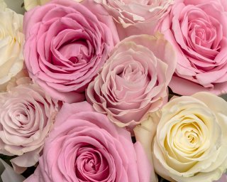 Букет из 9 роз микс 40-50 см (Эквадор) в стильной упаковке  small - 4