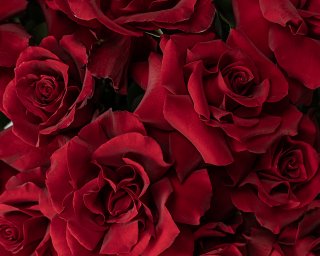 Букет в шляпной коробке Французский поцелуй  small - 4