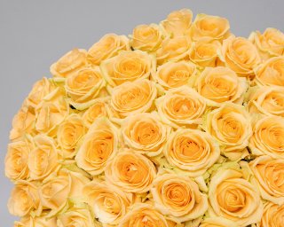 Букет из 51 кремовой розы 50-60 см (Россия) под ленту  small - 4