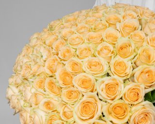 Букет из 101 кремовой розы 50-60 см (Россия)  small - 4