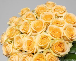 Букет из 25 кремовых роз 50-60 см (Россия) под атласную ленту  small - 3