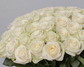 Букет из 51 белой розы 50-60 см (Россия) под ленту  small - 4