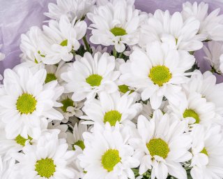 Букет из 5 хризантем Бакарди в стильной упаковке  small - 4