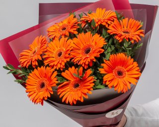 Букет из 9 оранжевых мини гербер в стильной упаковке с зеленью  small - 4