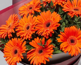 Букет из 9 оранжевых мини гербер в стильной упаковке с зеленью  small - 5