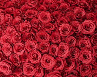 Корзина цветов из 1001 розы Эквадор 60-70 см  small - 4