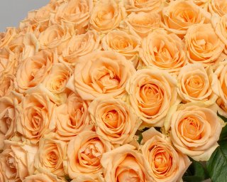 Букет из 51 кремовой розы 35-40 см (Россия) под ленту  small - 4