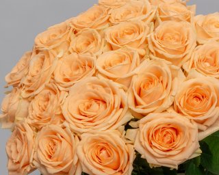 Букет из 25 кремовых роз 35-40 см (Россия) под атласную ленту  small - 4