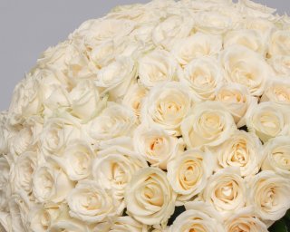 Букет из 101 белой розы 35-40 см (Россия) под ленту  small - 4