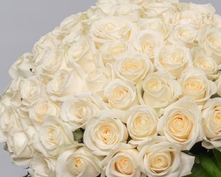 Букет из 51 белой розы 35-40 см (Россия) под ленту  small - 4