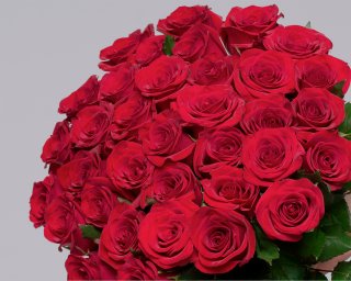 Букет из 35 красных роз 35-40 см (Россия) под атласную ленту  small - 4