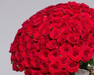 Букет из 101 красной розы 35-40 см (Россия) под ленту  small - 4