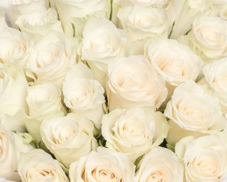 Букет из 35 белых роз 35-40 см (Кения) в стильной упаковке  small - 4