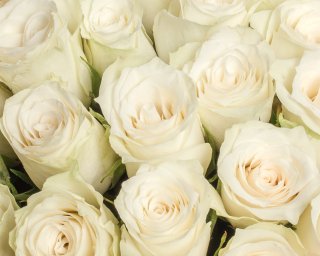 Букет из 25 белой розы 35-40 см (Кения) в дизайнерской упаковке  small - 4