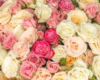 Букет из 35 кустовых роз нежный микс 40 см (Кения) под ленту  small - 4