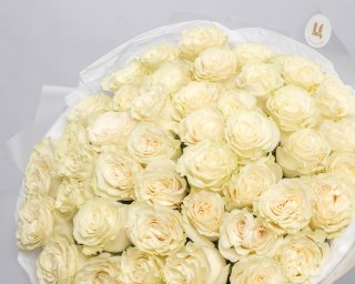 Букет из 51 белой розы премиум 40-50 см (Эквадор) в упаковке  small - 4