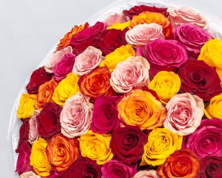 Букет из 51 роз яркий микс премиум 40-50 см (Эквадор) в стильной упаковке  small - 4