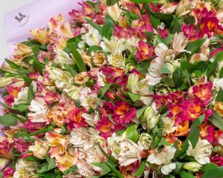 Букет из 101 альстромерии нежный микс в стильной упаковке  small - 4