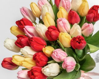 Букет из 35 тюльпанов стандарт яркий микс под ленту  small - 3