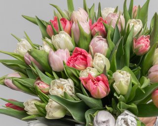 Букет из 35 тюльпанов пионовидных микс под ленту  small - 3