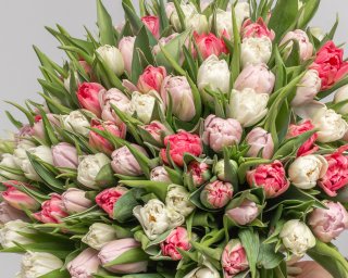 Букет из 101 тюльпана пионовидного микс под ленту  small - 3