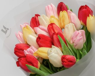 Букет из 25 тюльпанов стандарт микс в стильной упаковке  small - 4