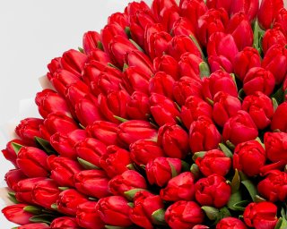 Букет из 101 красного тюльпана стандарт в стильной упаковке  small - 4