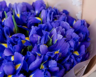 Букет из 51 синего ириса в стильной упаковке  small - 4