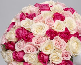 Букет из 51 розы светлый микс 35-40 см  (Россия) под атласную ленту  small - 3