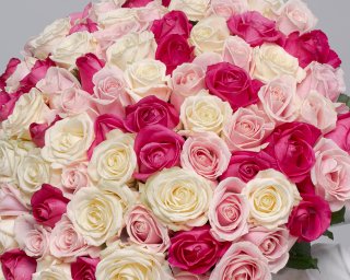 Букет из 101 розы нежный микс 35-40 см (Россия) под ленту  small - 3