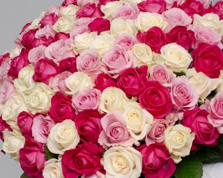 Букет из 101 розы нежный микс 50-60 см (Россия) под ленту  small - 3