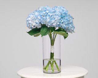 Синяя гортензия  small - 2