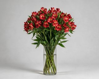 Пачка из 10 красных альстромерий  small - 3