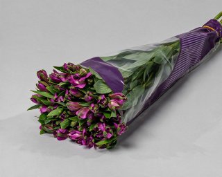 Пачка из 10 фиолетовых альстромерий  small - 2
