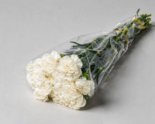 Пачка из 25 белых гвоздик  small - 2