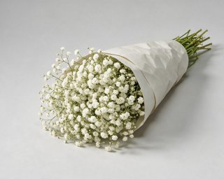 Пачка из 25 белых ветвей гипсофилы  small - 2