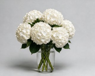 Пачка из 5 белых гортензий  small - 3