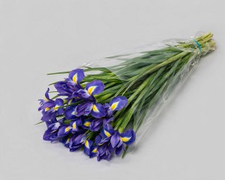 Пачка из 10 синих ирисов  small - 2