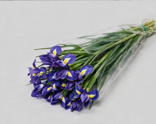Пачка из 15 синих ирисов  small - 2